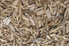 biomass boilers Ploxgreen