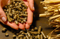 free Ploxgreen biomass boiler quotes